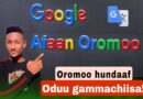 Oduu gamachisa afaan Oromoon Google translator keessa nuuf seenee jira!