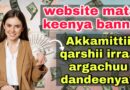 Haala kamiin website mata keenya irraa qarshii hojjenna? (Earn money from blogging )