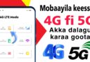 Mobaayila 4G network hojechuu dideef furmaata haaraa 4G LTE